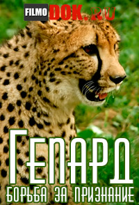 Гепард - борьба за признание / Cheetah - Race to Rule / 2013