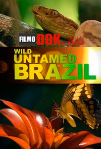 [HD720] Дикая Бразилия / Wild Untamed Brazil / 2014