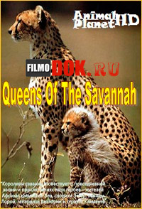 Королевы саванны / Queens Of The Savannah / 2009