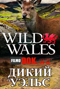 [HD720] Дикий Уэльс / BBC. Wild Wales / 2010