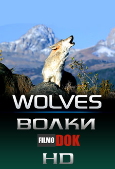Волки / Wolves (1999, HD720)
