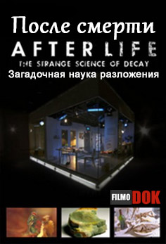 После смерти. Загадочная наука разложения / After Life. The Strange Science of Decay (2011, HD720, BBC)
