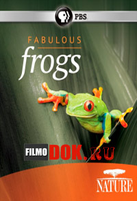 Природа – Удивительные лягушки / PBS: Nature – Fabulous Frogs (2014)
