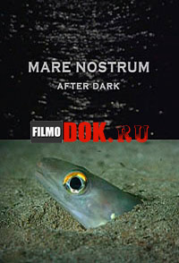 Обитатели глубин Средиземноморья / Mare Nostrum After Dark / 2011
