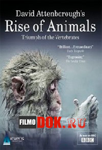 История животного мира с Дэвидом Аттенборо / Rise of Animals: Triumph of the Vertebrates (2013) BBC.