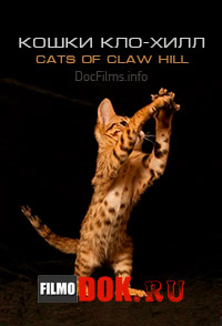 Кошки Кло-Хилл (8 серий из 8) / Cats of Claw Hill / 2009