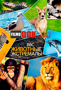 [HD720] Животные-экстремалы / BBC: Steve Leonard's Extreme Animals / 2002