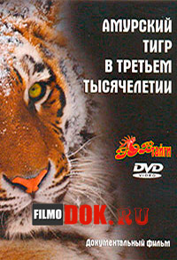 Амурский тигр в третьем тысячелетии / 2010
