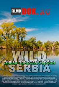 Дикая природа Сербии / Wild Serbia / 2011
