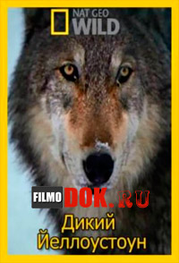Дикий Йеллоустоун: Волчица / Wild Yellowstone: She Wolf (2014) National Geographic.