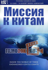 [HD720] Миссия к китам / Whale Mission / 2005