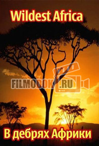 [HD720] В дебрях Африки (1 сезон) / Wildest Africa / 2010-2011