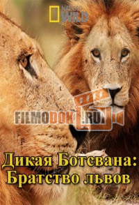 [HD720] Дикая Ботсвана: Братство львов / Wild Botswana: Lion Brotherhood / 2014