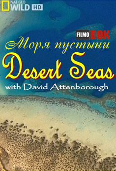 Моря пустыни / Desert Seas (2011, HD720, National Geographic)