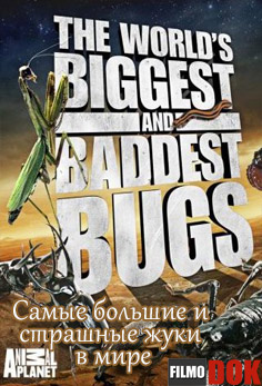 Самые большие и страшные жуки в мире / World's Biggest and Baddest Bugs (2004, HD720, Animal Planet)