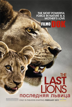 Последняя львица / The Last Lioness (2009, HD720, National Geographic)