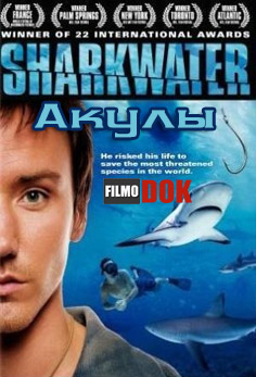 Акулы / Sharkwater (2006, HD720)