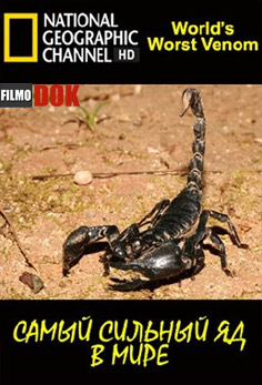 Самый сильный яд в мире / World's Worst Venom (2007, HD720, National Geographic)