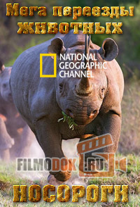 Мега переезды животных. Носороги / Animal Mega Movies. Rhinoceros / 2010