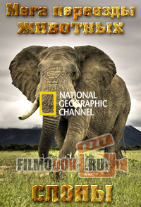 Мега переезды животных. Слоны / Animal Mega Movies. Elephants / 2010