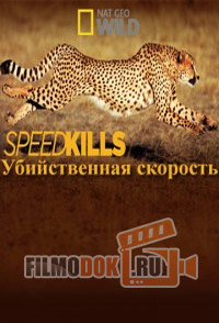 Убийственная скорость. Выжженная пустыня (2 сезон) / Speed Kills / 2014 National Geographic.