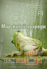 [HD720] Мир живой природы VI (Чудеса природы) / Nature Wonder Land VI / 2012