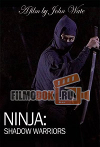 Ниндзя: Воины-тени / Ninja: Shadow warriors / 2011 History