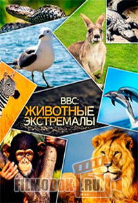 Животные-экстремалы / Steve Leonard's Extreme Animals / 2002 BBC.