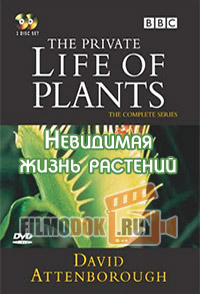Невидимая жизнь растений / The Private Life of Plants / 1995 BBC.
