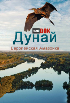 Дунай: Европейская Амазонка. От Чёрных лесов до Чёрного моря (2012, HD720)