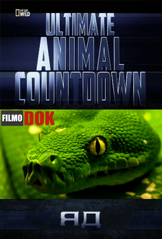 Животные-рекордсмены. Яд / Ultimate Animal Countdown. Venom (2012, National Geographic)