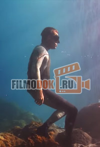 Лучшее видео снятое под водой 2014 года