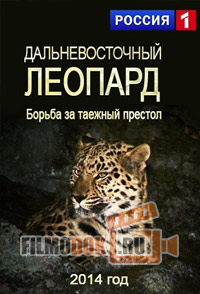 Дальневосточный леопард. Борьба за таёжный престол / 2014