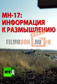 MH-17: информация к размышлению (17.01.2015)