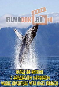 [HD720] Вслед за китами с Найджелом Марвином / Whale Adventure with Nigel Marven / 2013