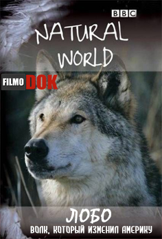 Лобо: Волк, который изменил Америку / Lobo: The Wolf that Changed America (2008, BBC. Natural World)
