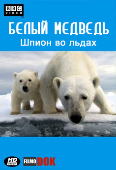 Белый медведь - Шпион во льдах / Polar Bear - Spy on the Ice (2010, HD720, BBC)