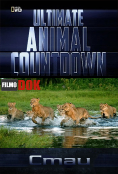 Животные рекордсмены. Стаи / Ultimate Animal Countdown. Swarms (2012, National Geographic)