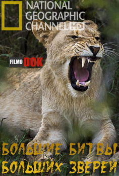 Большие битвы больших зверей / Predators in Peril (Big Game Diaries) (2008, HD720, National Geographic)