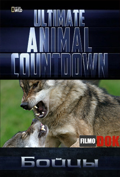Животные рекордсмены. Бойцы / Ultimate Animal Countdown. Fighters (2012, National Geographic)