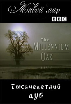 Живой мир. Тысячелетний дуб / The Natural World. The Millenium Oak (2002, ВВС)