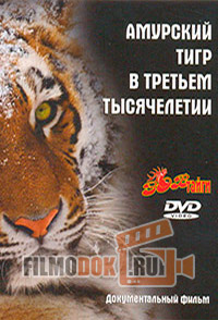 Зов тайги. Амурский тигр в третьем тысячелетии / 2010