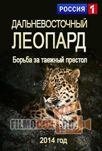 [HD1080] Дальневосточный леопард. Борьба за таежный престол / 2014