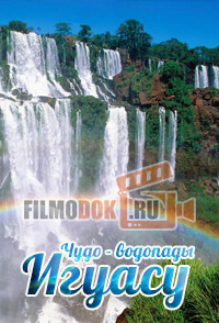 Чудо - водопады Игуасу / Natural World - The Falls Of Iguacu / 2006 BBC.