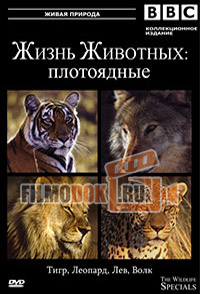 Жизнь животных - Плотоядные / The Wildlife Specials / 1997-2003