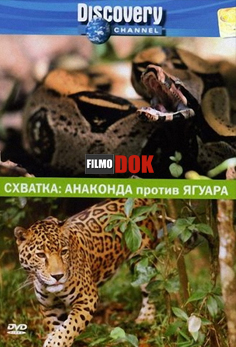 Схватка: Анаконда против ягуара / Animal Fase-Off. Anaconda vs. Jaguar (2004, Discovery)
