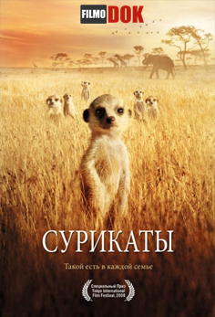 Сурикаты / The Meerkats (2008, HD720, BBC)