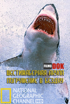 Шестижаберная акула. Погружение в бездну / Sixgill Shark. Into The Abyss (2010, HD720, National Geographic)