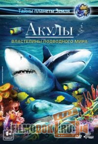 [HD] Акулы: Властелины подводного мира / Sharks: Kings of the Ocean / 2013