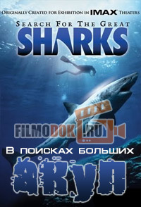 [HD] В поисках больших акул / Search for the Great Sharks / 1995